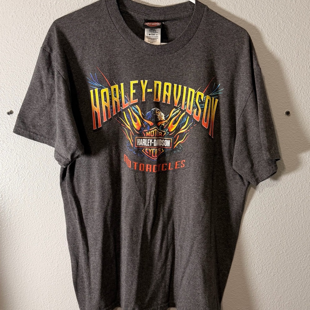 Harley-Davidson Gray Graphic T-Shirt